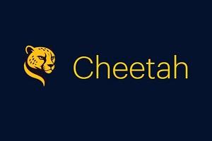 Cheetah Tool Credit Refill