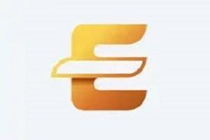 E-GSM Tool Activation - 1 Year