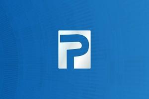 Pandora Tool Digital Licence No Need Box - 1 Year - (New User Only)