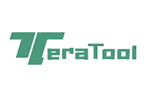 Tera Tool 6 Months Activation For 1 PC