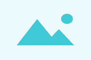 ZXW Online Account Activation (1 Year)